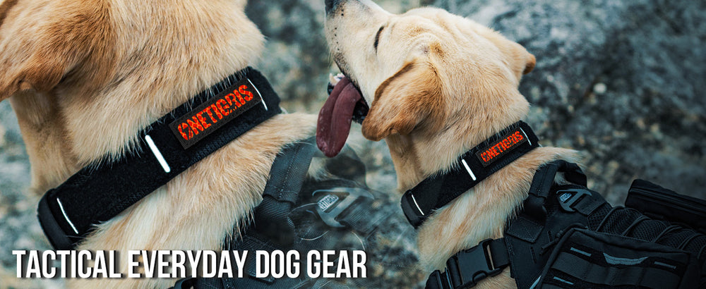 ONETIGRIS - X11 Dog Collar