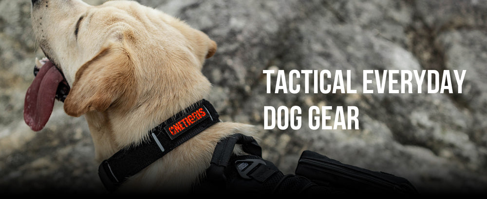ONETIGRIS - X11 Dog Collar