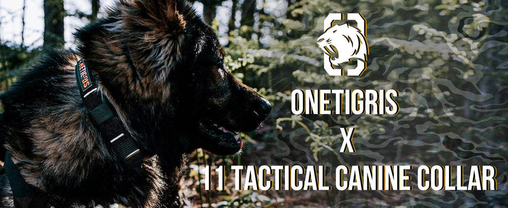 ONETIGRIS - X11 Dog Collar