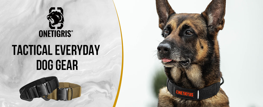 ONETIGRIS - X11 Dog Collar