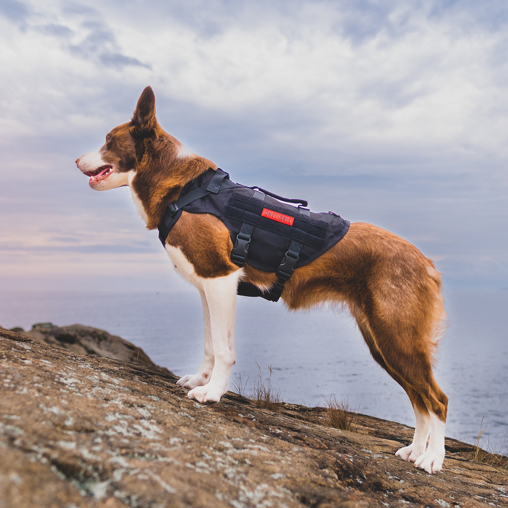 ONETIGRIS - AIRE Mesh Dog Harness