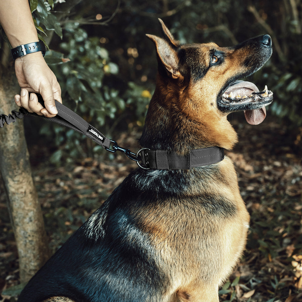 ONETIGRIS - Dog Leash | 110