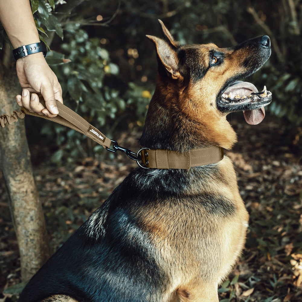 ONETIGRIS - Dog Leash | 110