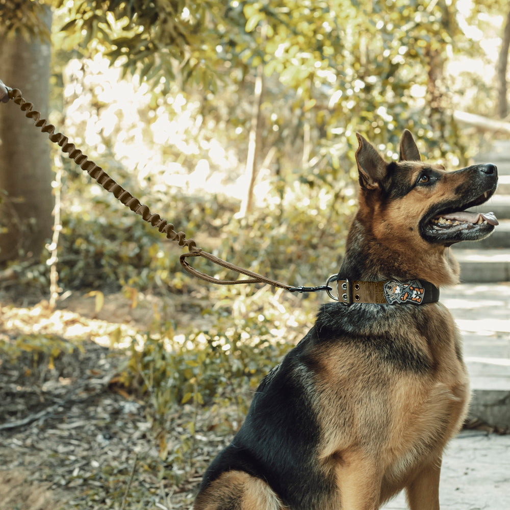 ONETIGRIS - Dog Leash | 110