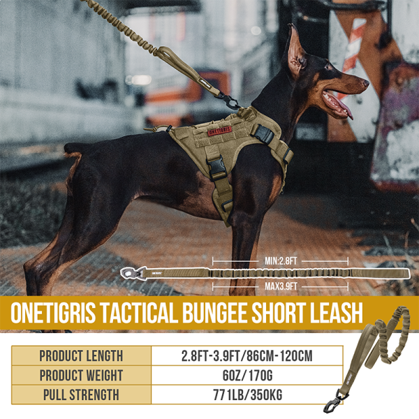 ONETIGRIS - Dog Leash 110 | Tigris Jaw