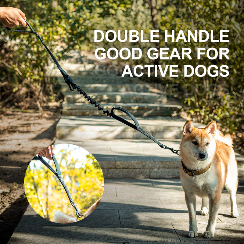 ONETIGRIS - Dog Leash | 17