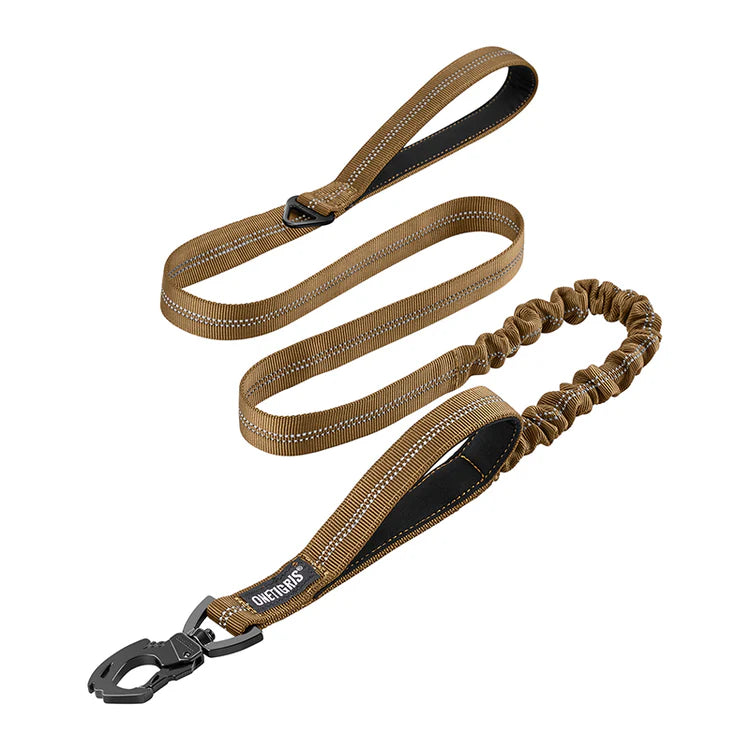 ONETIGRIS - Dog Leash 22