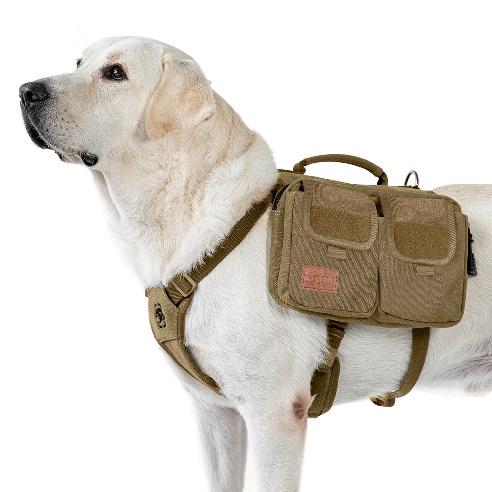 ONETIGRIS - Hoppy Camper Dog | Pack 3.0