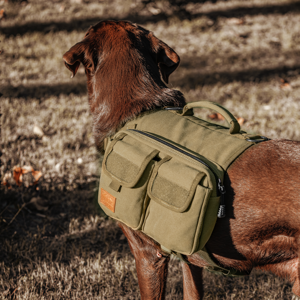 ONETIGRIS - Hoppy Camper Dog | Pack 3.0