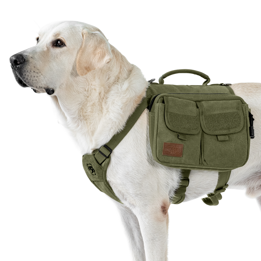 ONETIGRIS - Hoppy Camper Dog | Pack 3.0