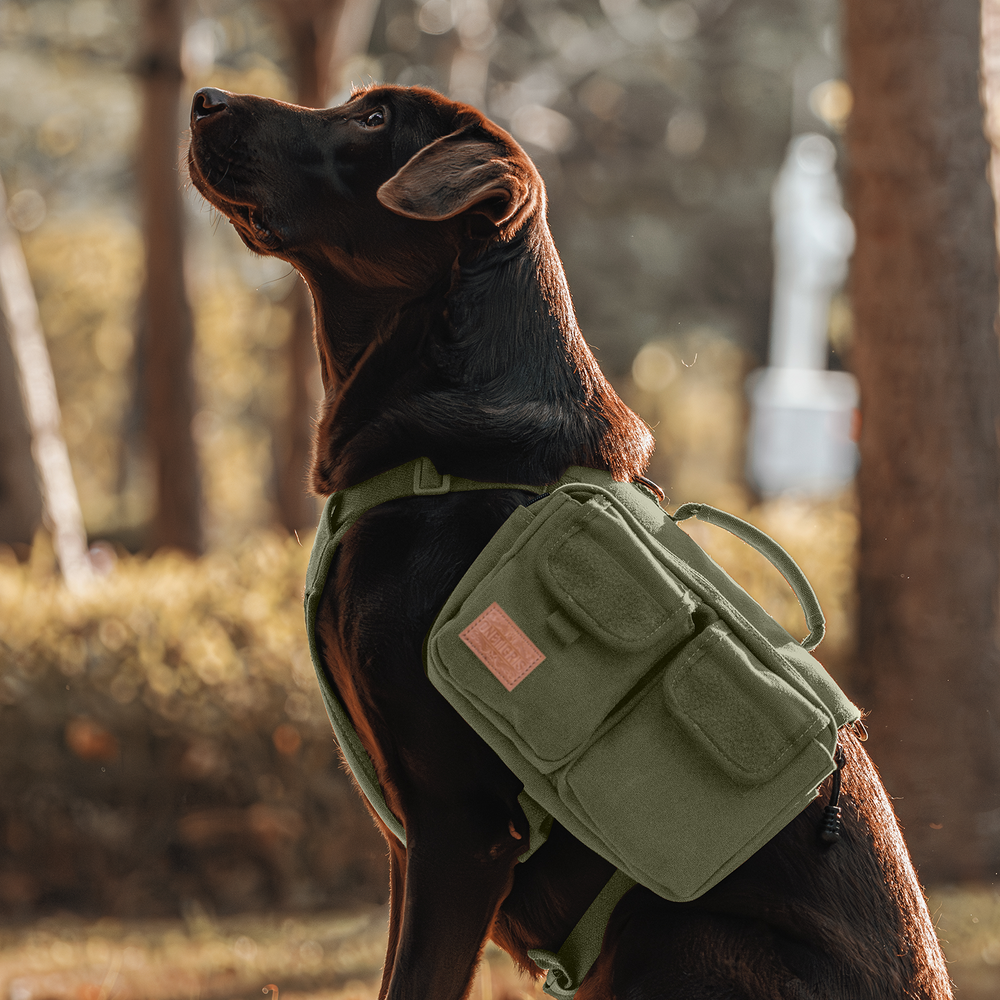 ONETIGRIS - Hoppy Camper Dog | Pack 3.0