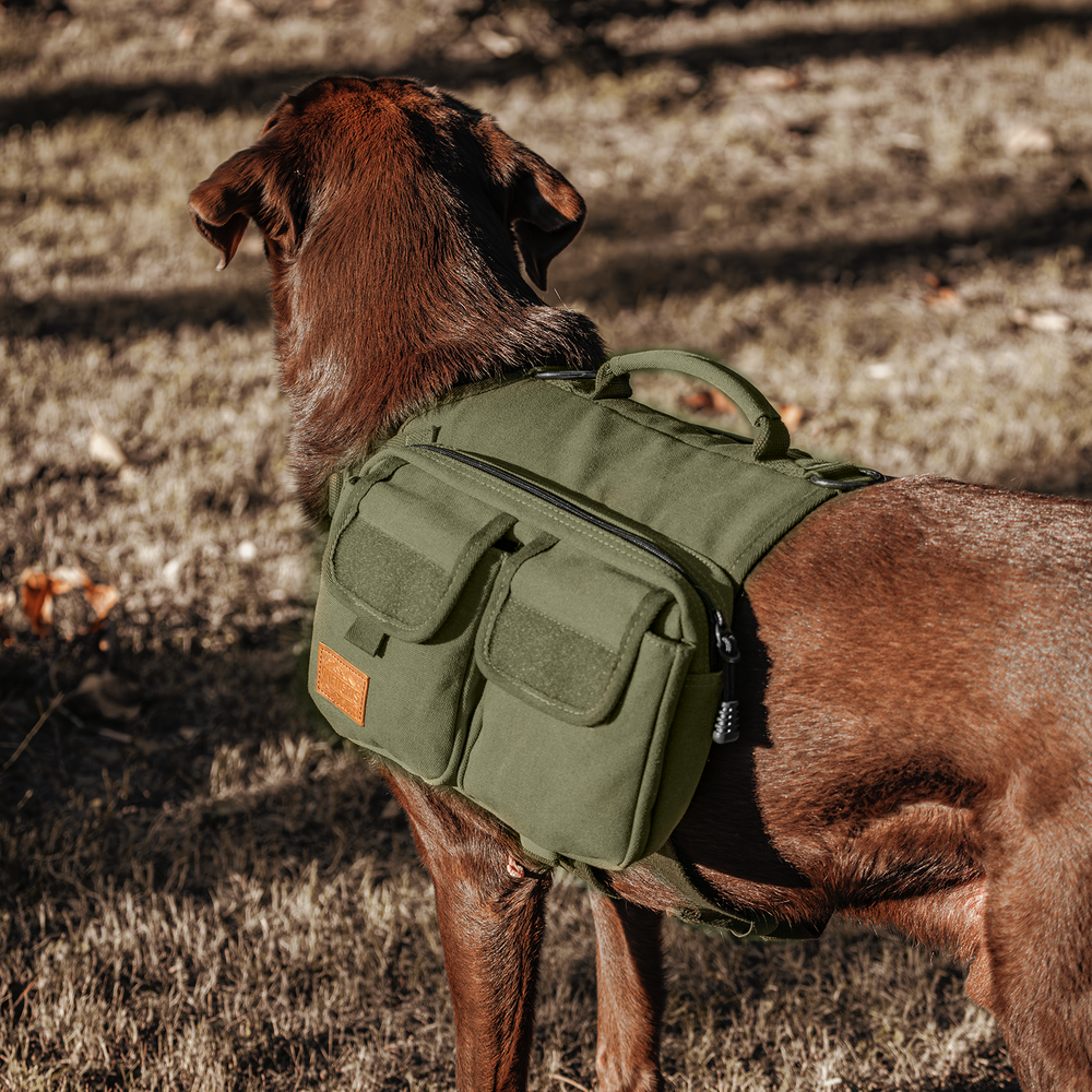 ONETIGRIS - Hoppy Camper Dog | Pack 3.0