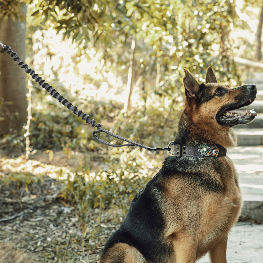 ONETIGRIS - Dog Leash | 110