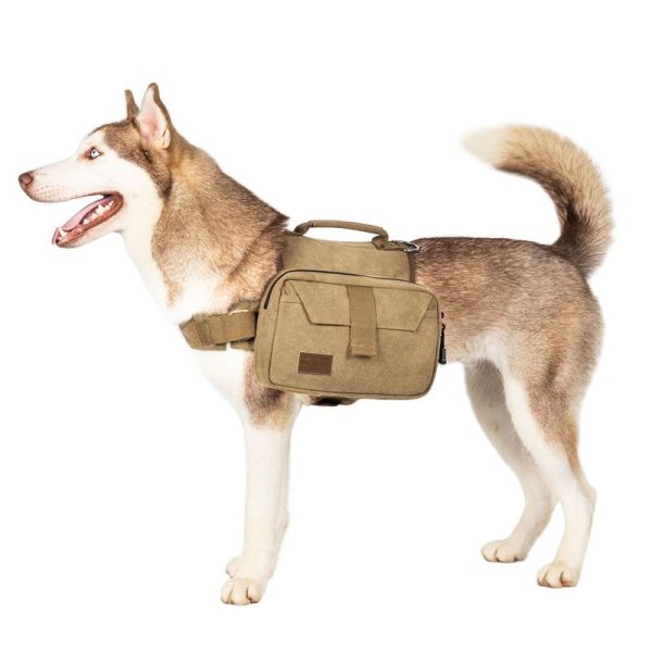 ONETIGRIS - Hoppy Camper Dog | Pack 2.0