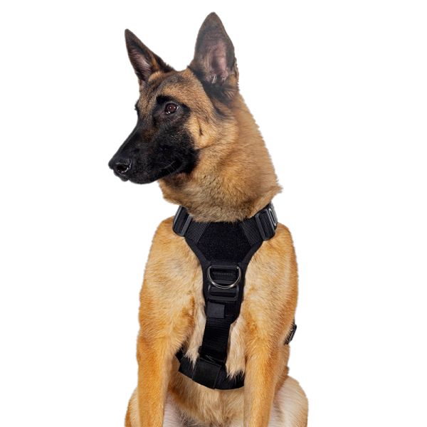 ONETIGRIS - Goliath Dog Training Harness