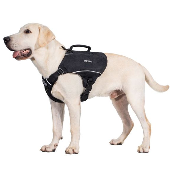 ONETIGRIS - Camelus Dog Pack
